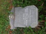 image of grave number 657764